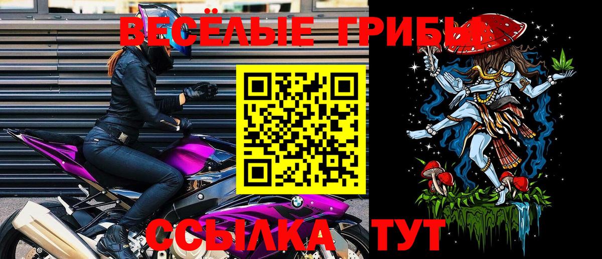 Серов  что такое наркотик  Вход с VPN  Галлюциногенные грибы MAGIC MUSHROOMS  Галлюциногенные грибы прущие грибы 
