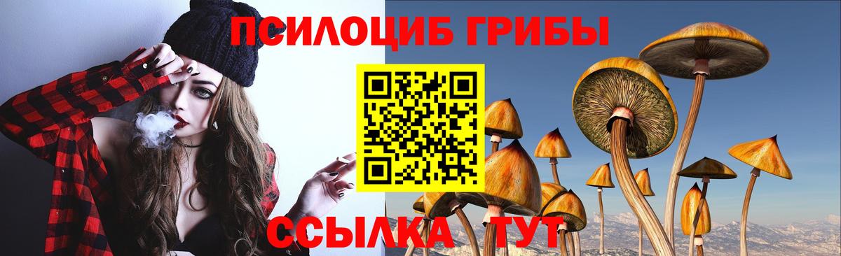 Галлюциногенные грибы мицелий Серов